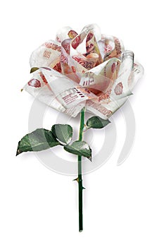 Revealed white-pink rose with petals of 5000 ruble banknotes of the bank of Russia. 3d-illustration
