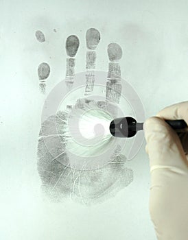 Revealing the fingerprints photo