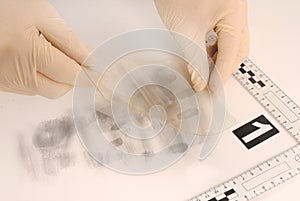 Revealing and preserving the fingerprints