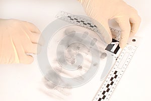 Revealing and preserving the fingerprints