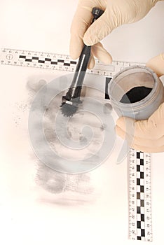 Revealing and preserving the fingerprints