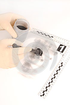 Revealing and preserving the fingerprints