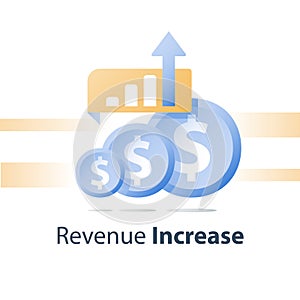 Revenue increase, investment portfolio growth, financial performance report, income improvement strategy, interest rate