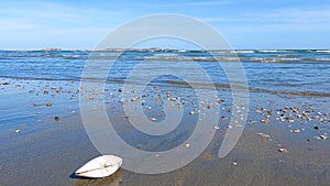 Revere Beach, Revere, Massachusetts, USA