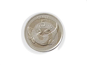 Reverse of Kiribati coin 5 cents 1979 with the image of a lizard. Isolated in white background.