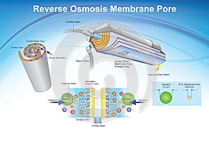 Reverse Osmosis membrane pore system. Illustration.