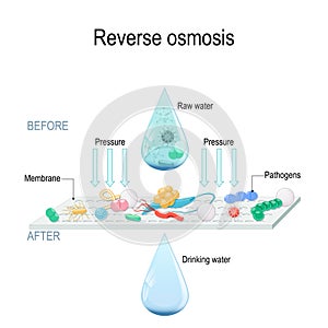 Reverse osmosis use the membrane to act like an extremely fine filter to create drinking water from contaminated water.