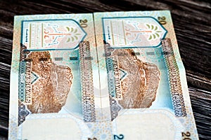 Reverse side of Saudi Arabia 20 SAR twenty Saudi riyals money banknote features Jabal Al-Noor (Hill of Light) photo