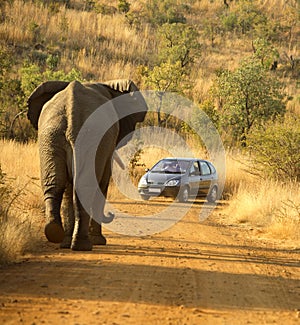 Reversing Practice photo