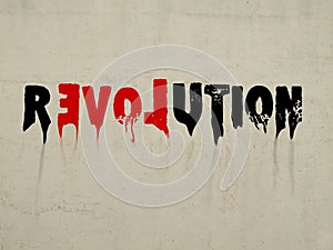 Revolution with love concept text