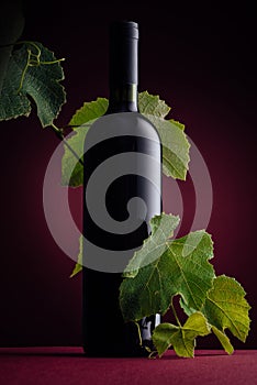 Rew wine bottle with vine branch