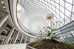 Reworked photo of cellular structure in architecture photo
