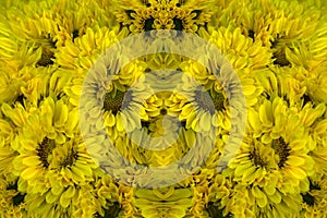Reworked photo from Yellow Chrysanthemum flowers