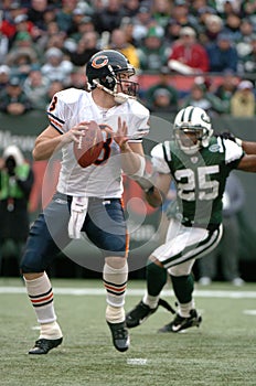 Rex Grossman