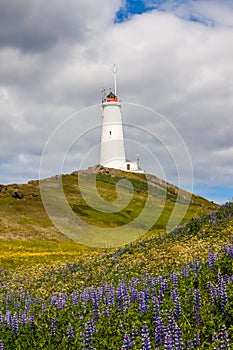 Reykjanes lighthouse, Iceland