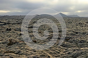 Reykjanes Peninsula with Volcano and Mossy Lava Fields in Last Evening Light, Western Iceland