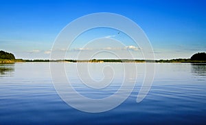 Rezerwat Stawy Milickie