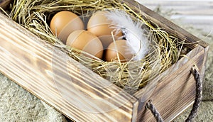 rganic eggs in hay nest. Country style. Healthy food. Farm market products. Chicken coop. Hen.