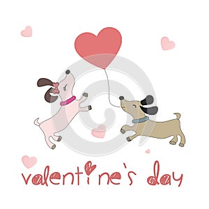 COUPLE CARD DOGS FOR THE DAY OF SAN VALENTIN photo
