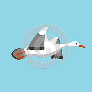 Movement of the wings in the flight of a bird vector