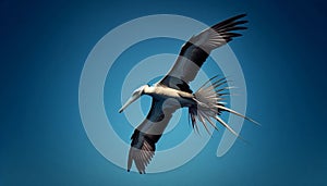 Rhamphorhynchus Diving Boldly Toward Water, Wings Outstretched Against a Clear Blue Sky photo