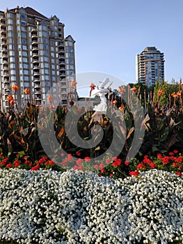 Rhapsody Dolphins Fountain in Kelowna downtown, BC Canada.