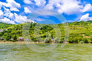 Rhein Rhine river in Loreley Lorelei, Oberwesel, Rhein-Lahn-Kreis, Rhineland-Palatinate, Rheinland-Pfalz, Germany