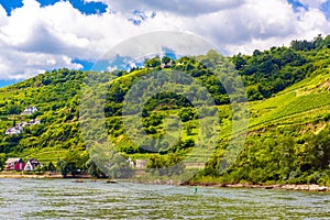 Rhein Rhine river in Loreley, Oberwesel, Rhein-Lahn-Kreis, Rhineland-Palatinate, Rheinland-Pfalz, Germany