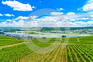 Rhein Rhine river in Ruedesheim am Rhein, Rudesheim, Rheingau-Taunus-Kreis, Darmstadt, Hessen, Germany