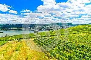 Rhein Rhine river in Ruedesheim am Rhein, Rudesheim, Rheingau-Taunus-Kreis, Darmstadt, Hessen, Germany