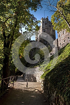 Rheinstein Castle in the Rhine Gorge, in Germany. Vertical shot