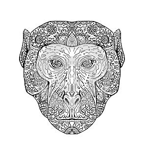 Rhesus Macaque Head Front Mandala