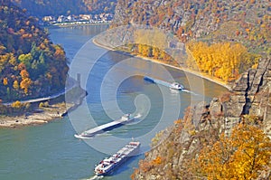 The Rhine