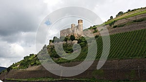 Rhine Castle