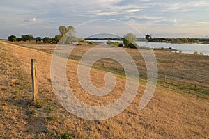 Rhine dyke in Ork near the rhine