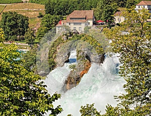 Rhine Falls in summer