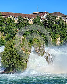 Rhine Falls in summer