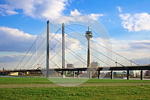 Rhine Knie Bridge And Rheinturm