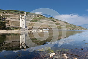 Rhine near Bingen in Rhineland-Palatinate with extremely low water in drought summer 2022