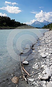 Rhine River banks with rocky beach and driftwood and forest and mountain landscape in the background