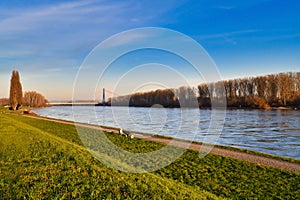 Rhine river with dike in Speyer with rhine bridge in background