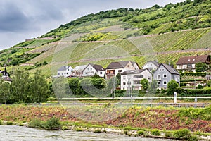 Rhine River Germany