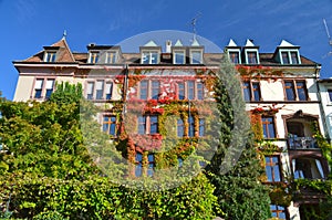 Rhine river house in Autumn