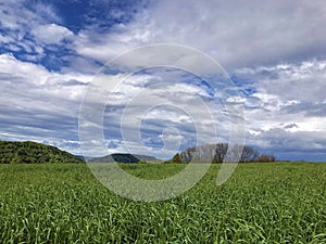 Rhine River valley and fertile agricultural fields, Buchberg