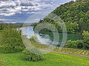 Rhine River valley and fertile agricultural fields, Buchberg