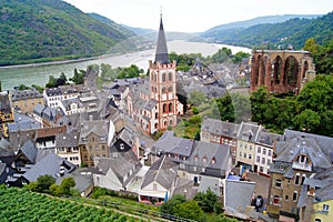 Rhine River views