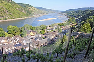 Rhine valley from above