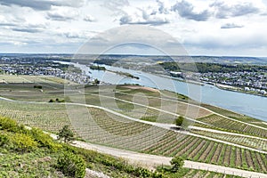 Rhine valley with view to Binden over vineyards
