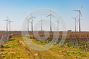 In Rhineland-Palatinate, vineyards and wind power share rural nature