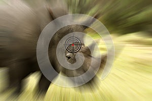 Rhino anti-poaching concept and target photo